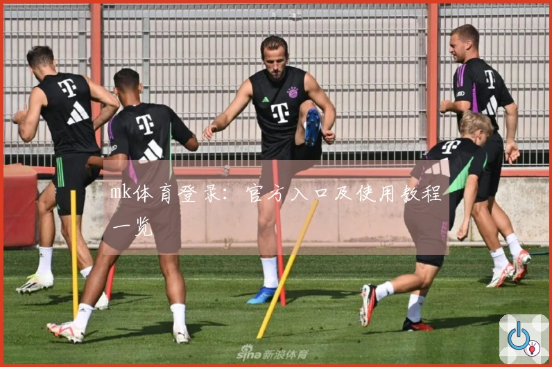 mk体育登录:官方入口及使用教程一览