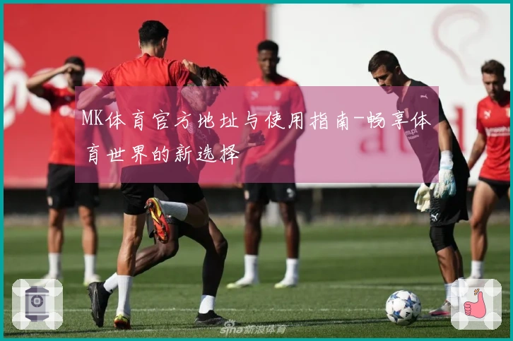MK体育官方地址与使用指南-畅享体育世界的新选择